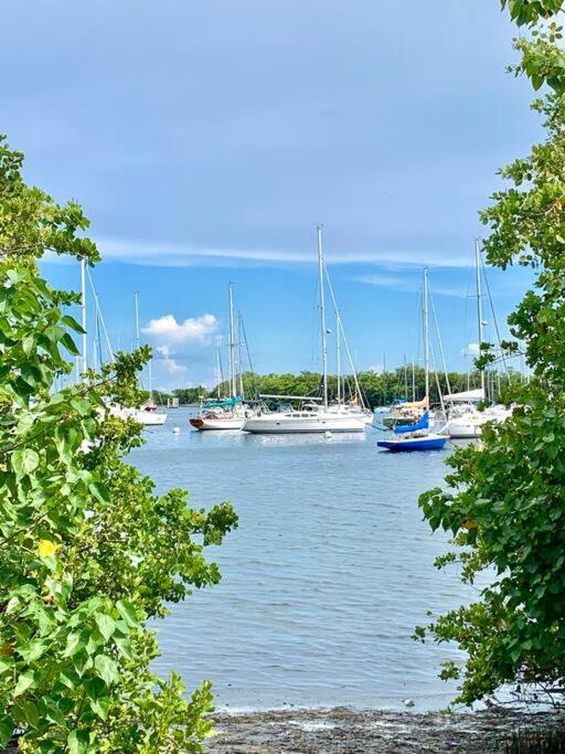 Groveo4 10 Min From The Beach Miami Ngoại thất bức ảnh