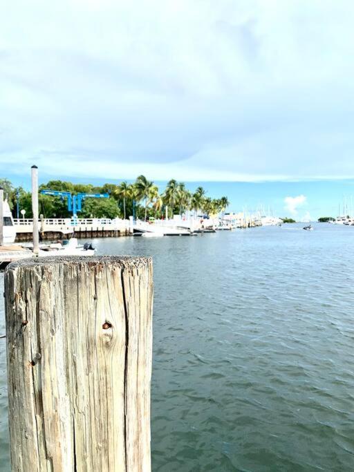 Groveo4 10 Min From The Beach Miami Ngoại thất bức ảnh