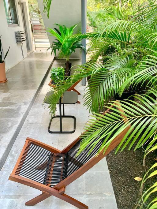 Groveo4 10 Min From The Beach Miami Ngoại thất bức ảnh